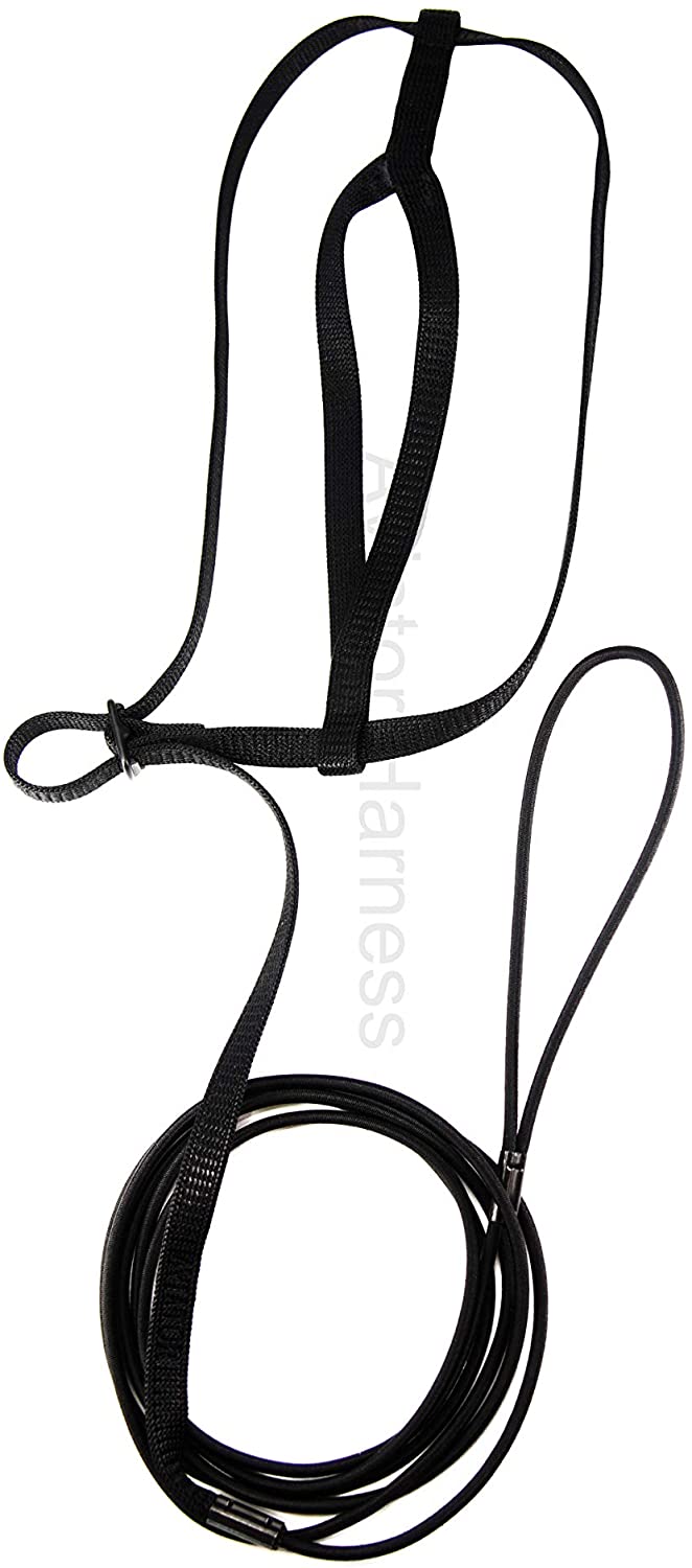 Aviator - Pettorina per Pappagalli - XL - Nero Aviator - Pettorina per Pappagalli - XL - Nero